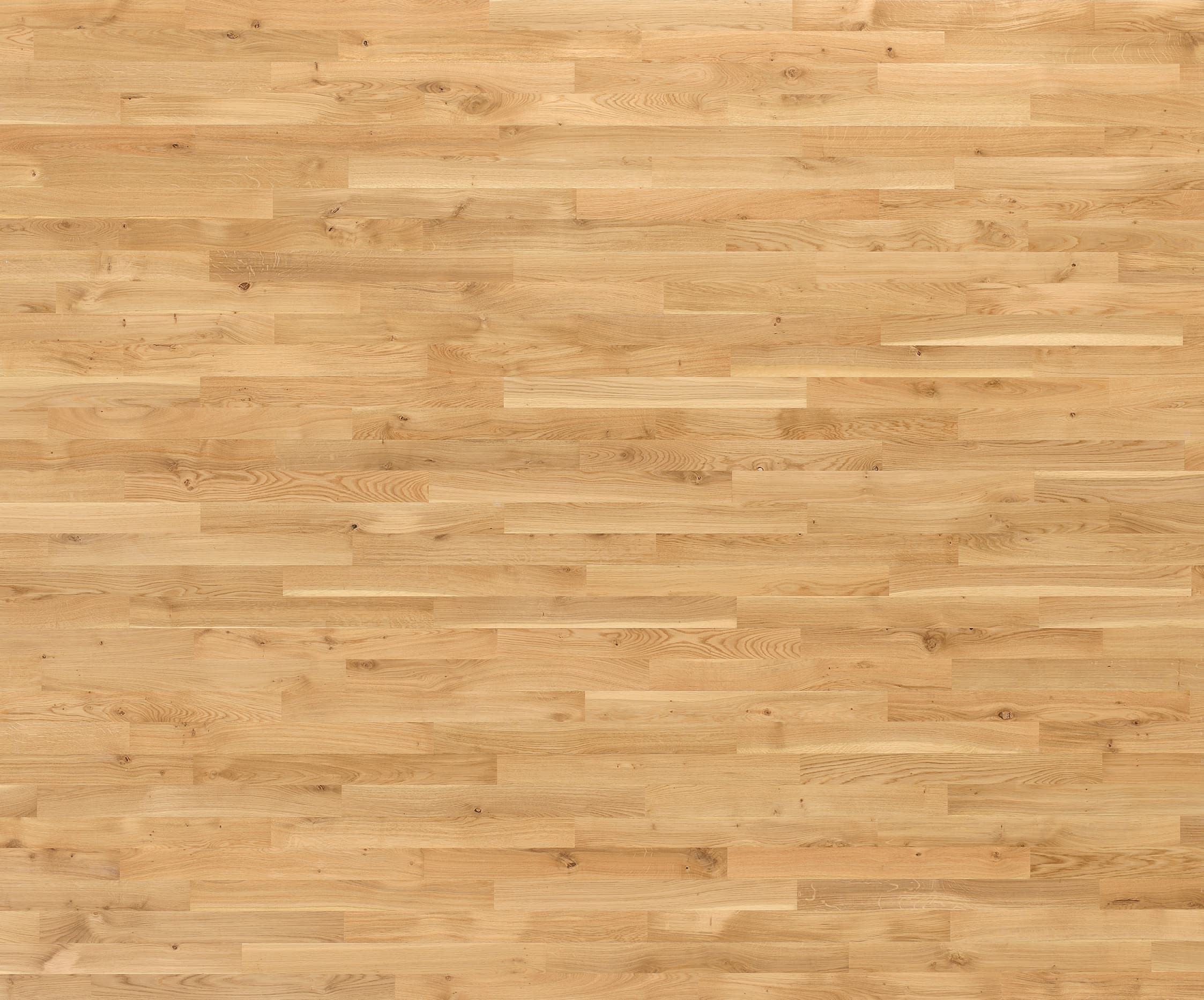 Oak
